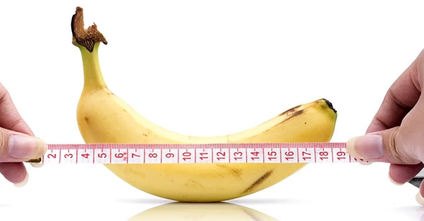 Le Dimensioni del Pene: Miti, Scienza e Percezioni Reali Le Dimensioni del Pene: Miti, Scienza e Percezioni Reali